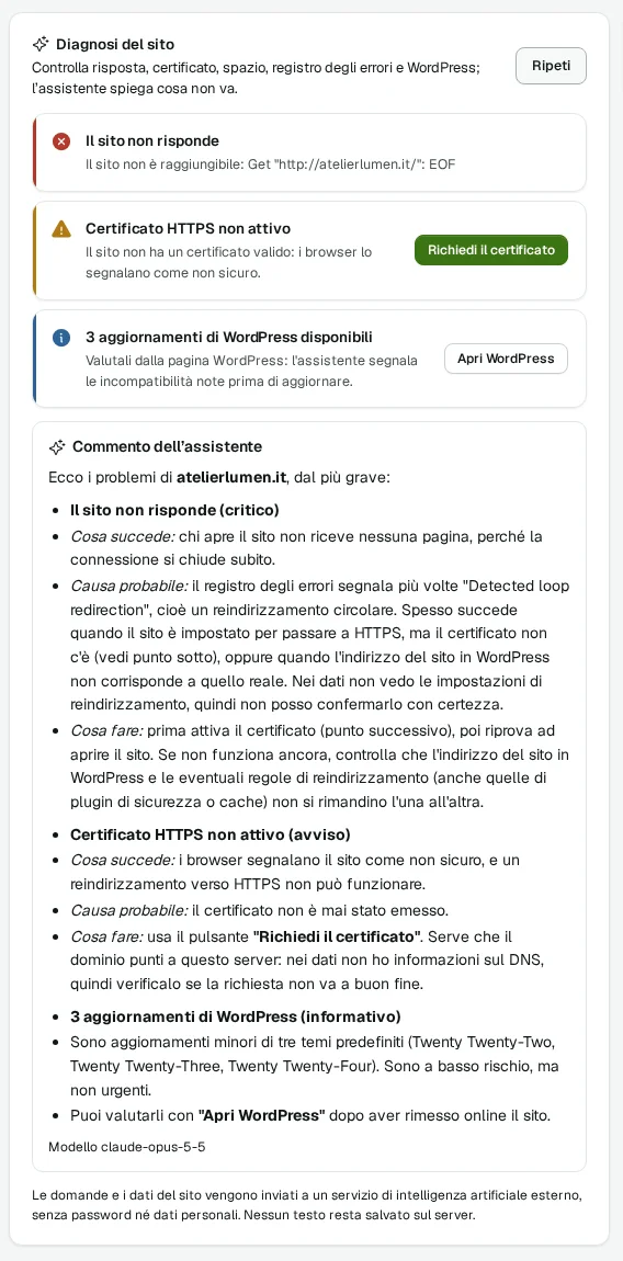 La diagnosi del sito in LimePanel: problemi trovati, correzioni proposte e commento dell'assistente (dati di esempio)