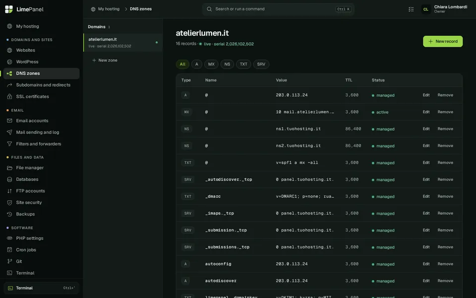 DNS: Zones with every record, draft changes and the state of each record. Mail, autodiscover and DKIM are written by the panel.