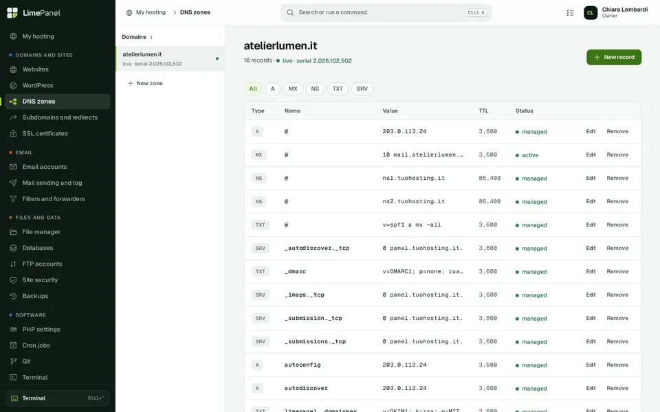 DNS: Zones with every record, draft changes and the state of each record. Mail, autodiscover and DKIM are written by the panel.